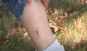 Man Defends Himself Against Attacker in Kroger Produce Aisle