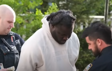 NYPD Officer Ambushed in Astoria, Suspects Arrested (video)