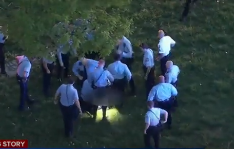 Carjacker's Deadly End: Police Chase Turns Fatal in Philadelphia (video