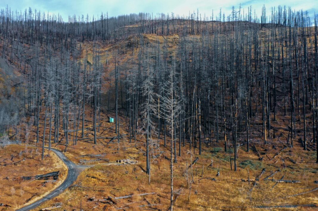 Tragedy Strikes: Gunman Opens Fire in Mormon Church, Setting It Ablaze