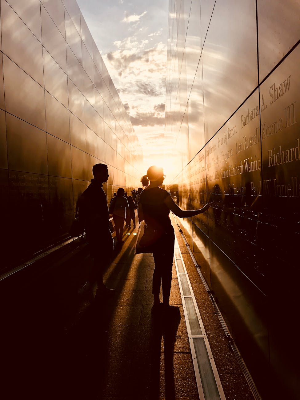 Honoring 480 Otis: The Iconic Bear of Brooks Falls