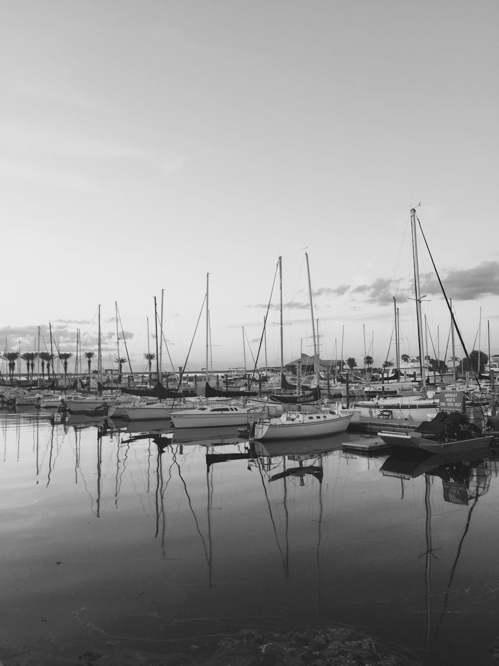 US Futures Dip as H-1B Visa Fees Raise Concerns for Tech Sector