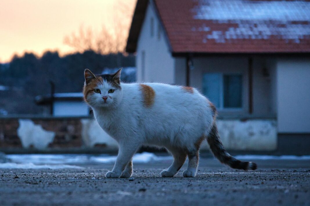 Federal Agencies Ordered to Begin Shutdown Procedures