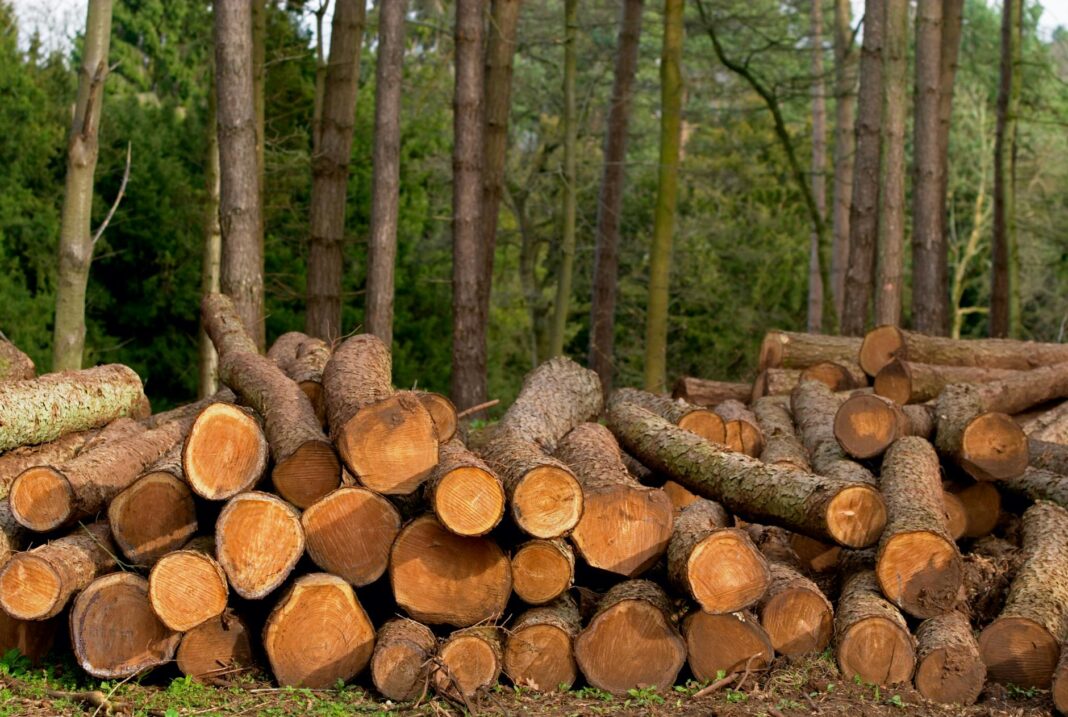 Stowaway Found Dead in American Airlines Landing Gear at Charlotte Air