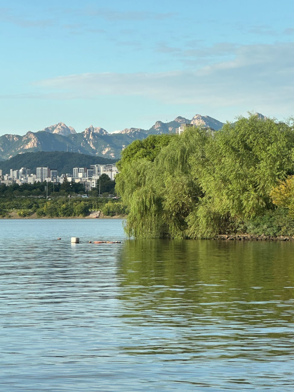 California Takes a Stand Against Immigration Raids in Schools