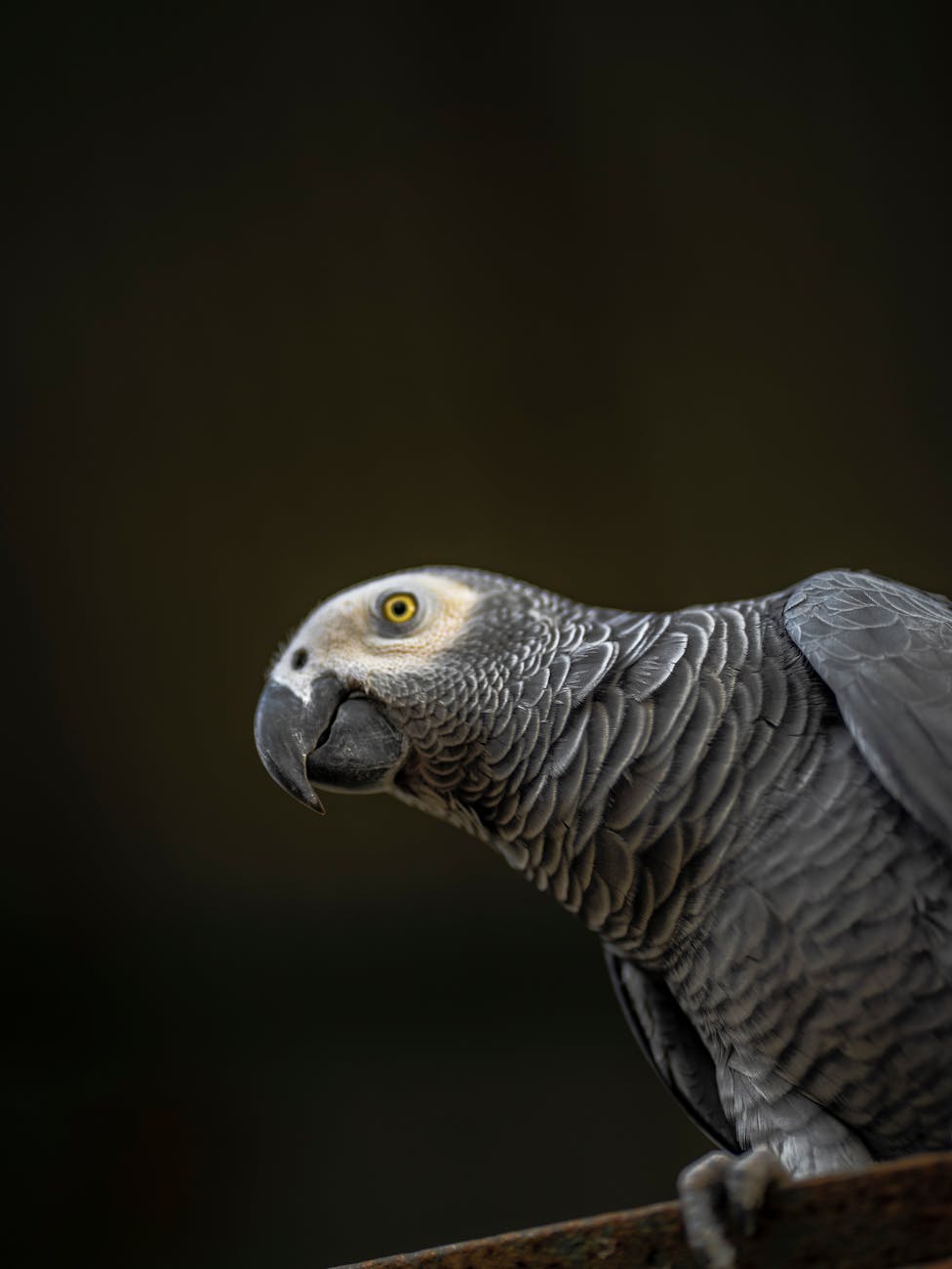 Firing Squad: Companies Act on Inappropriate Comments About Charlie Ki