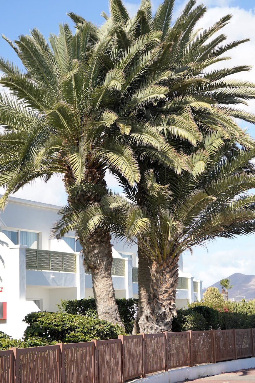 White House Seeks $58 Million for Enhanced Security Measures