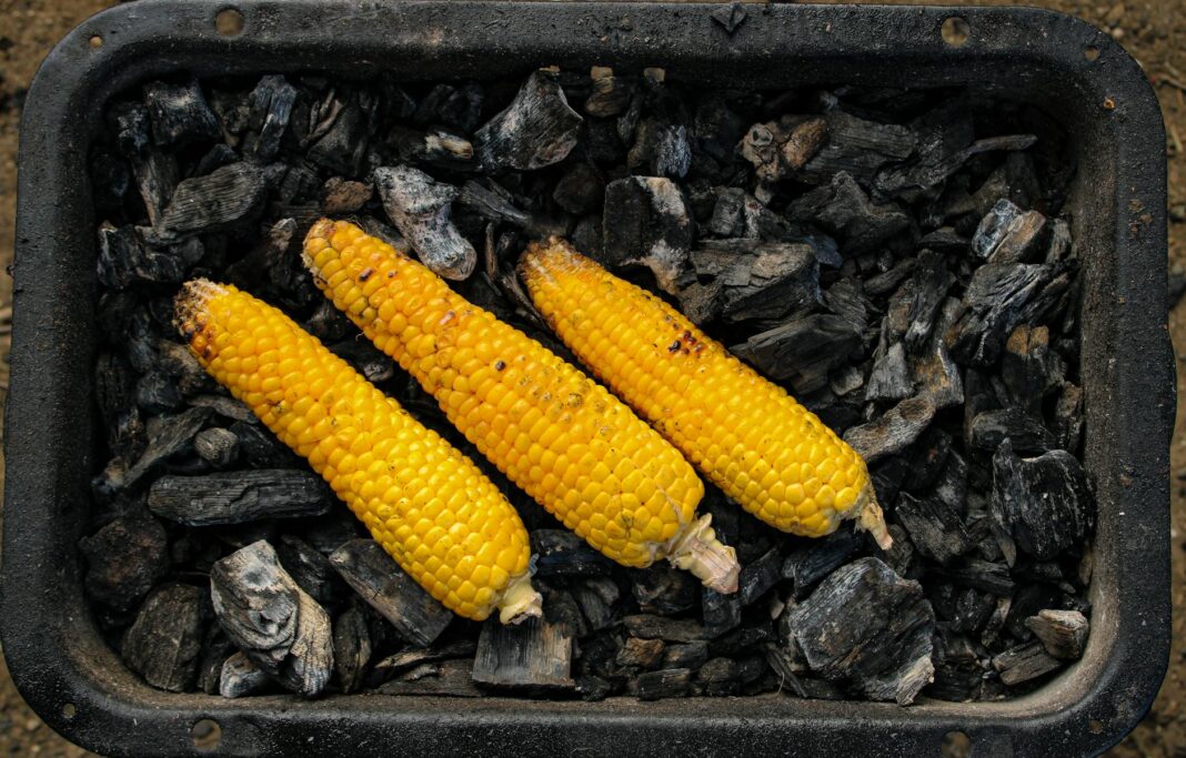 Kash Patel Under Fire: FBI Chief Faces Lawmakers on Controversial Issu