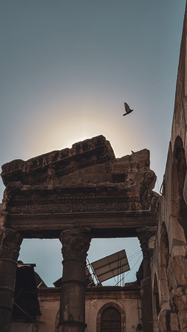 Tim Cook, Sam Altman, and more attend Trump’s UK state banquet