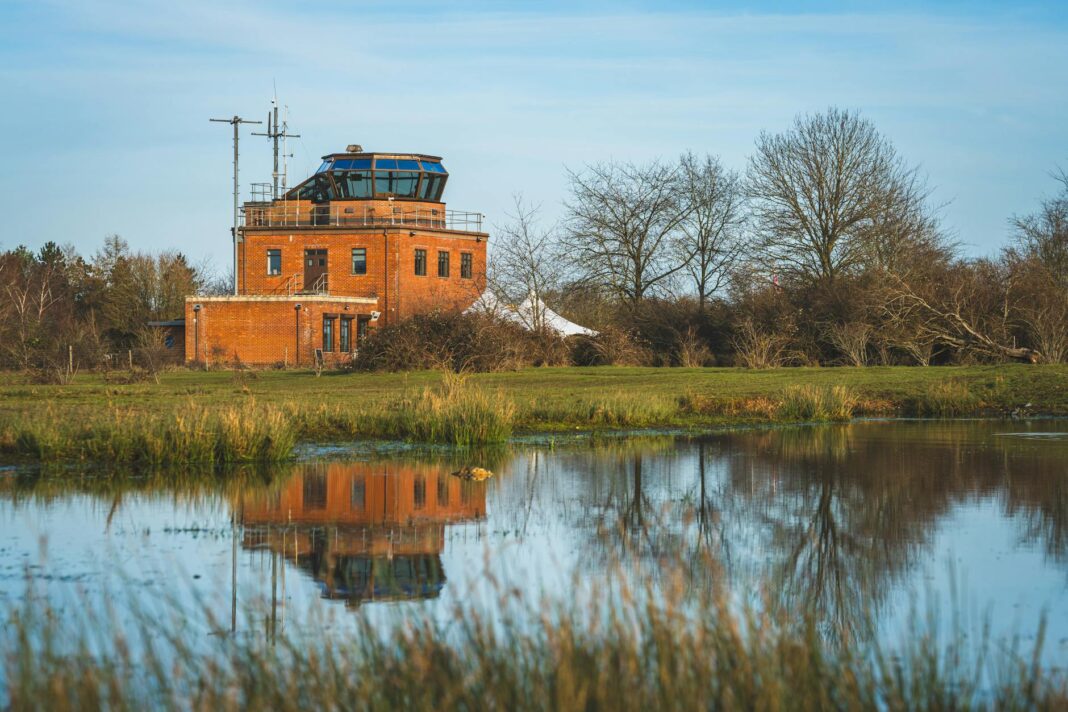 Trump's Free Speech Celebration Takes a Jab at Jimmy Kimmel