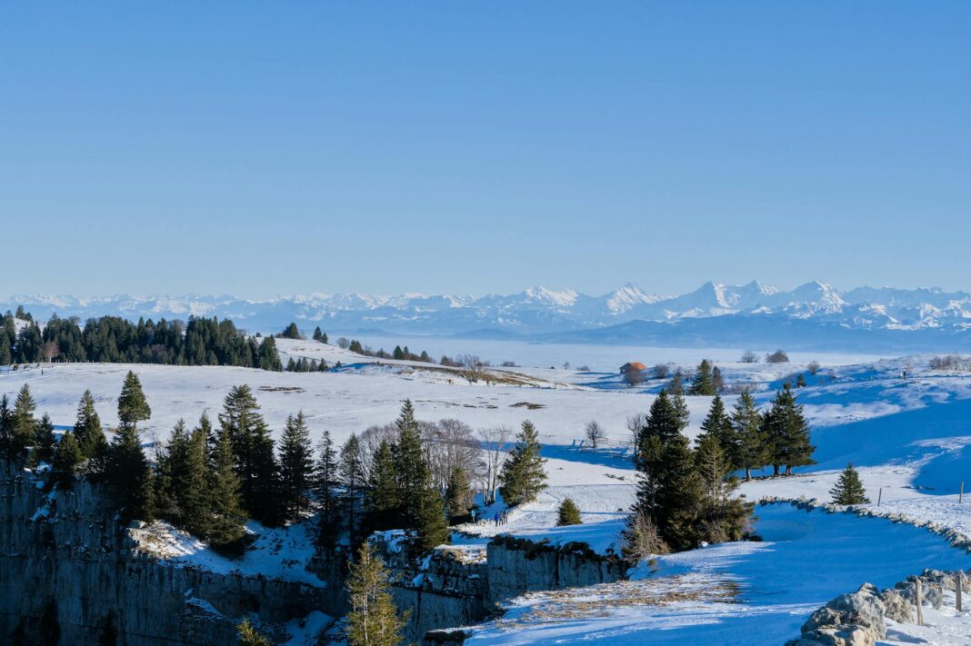 H-1B Visa Fee Hike: A Blow to the IT Sector