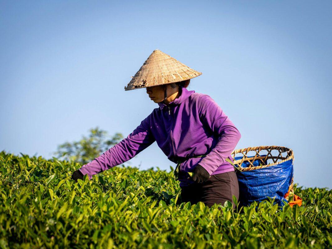 Massive SIM Farm Threatens NYC Infrastructure, Feds Warn