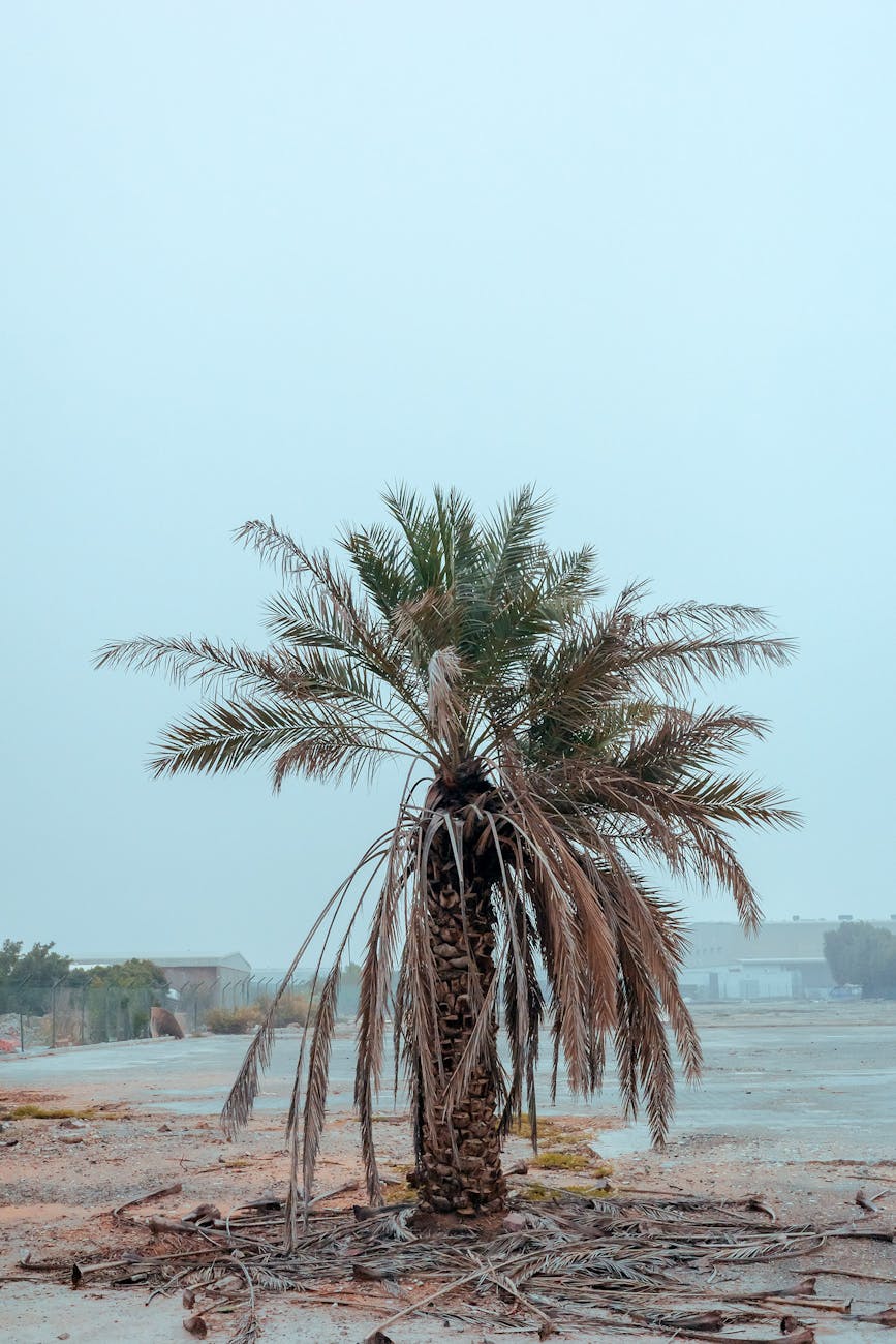 Understanding the Complicated Indictment of James Comey