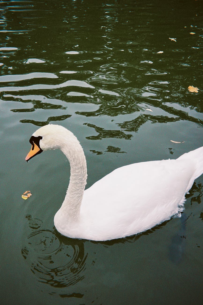 Trump’s Oval Office Talks: Aiming to Prevent Government Shutdown