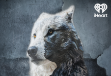 Unveiling Police Corruption: The Fight for Justice in ‘Crying Wolf’ Crying Wolf