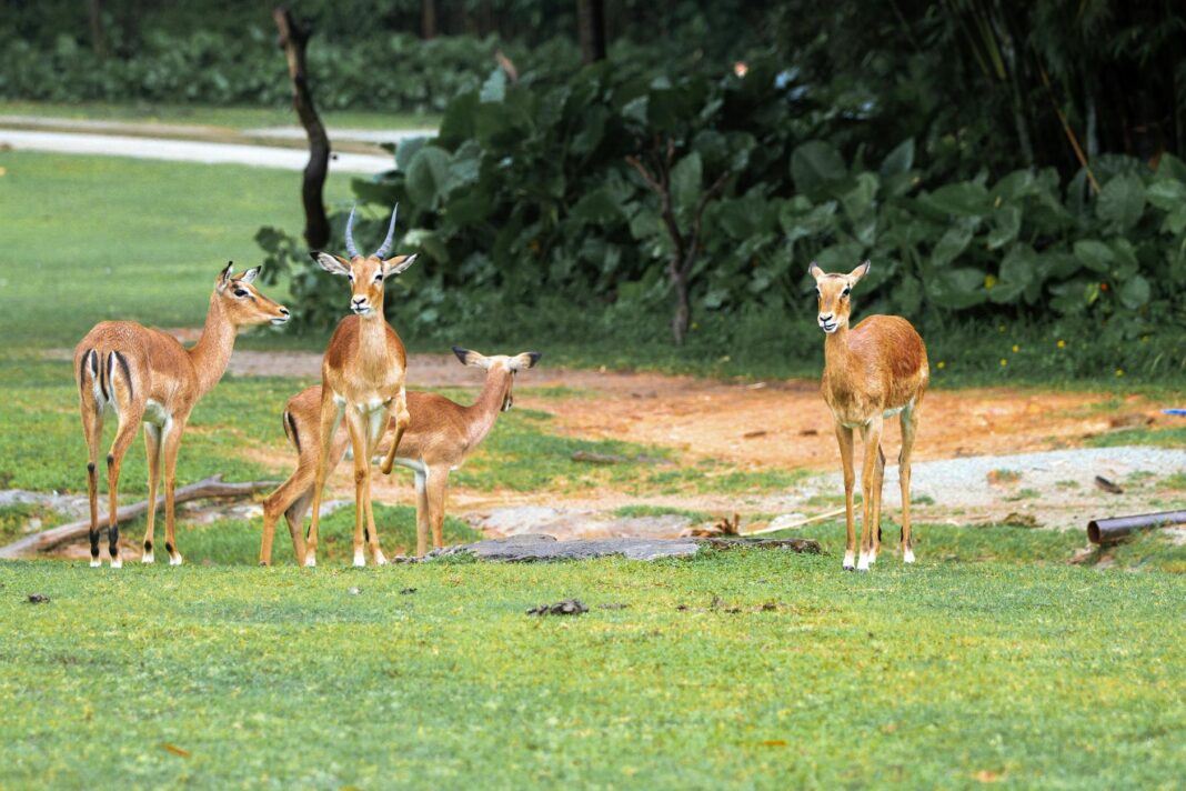 Hurricanes Imelda and Humberto: East Coast on High Alert