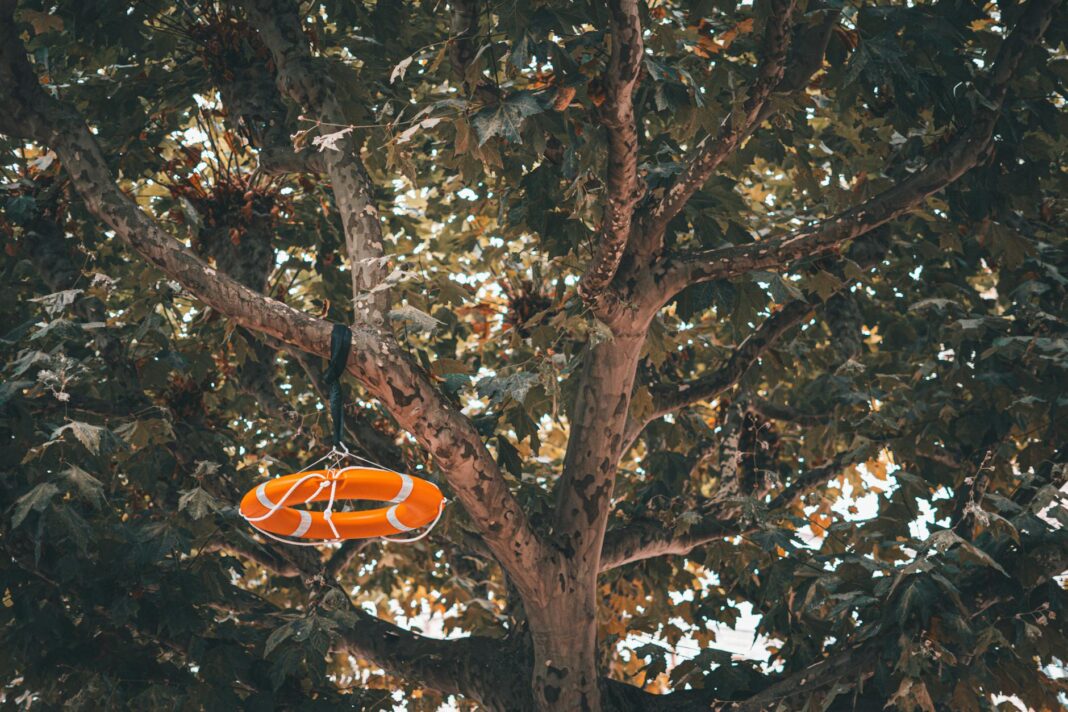 Trump Feels Fit Ahead of Second Medical Exam at Walter Reed