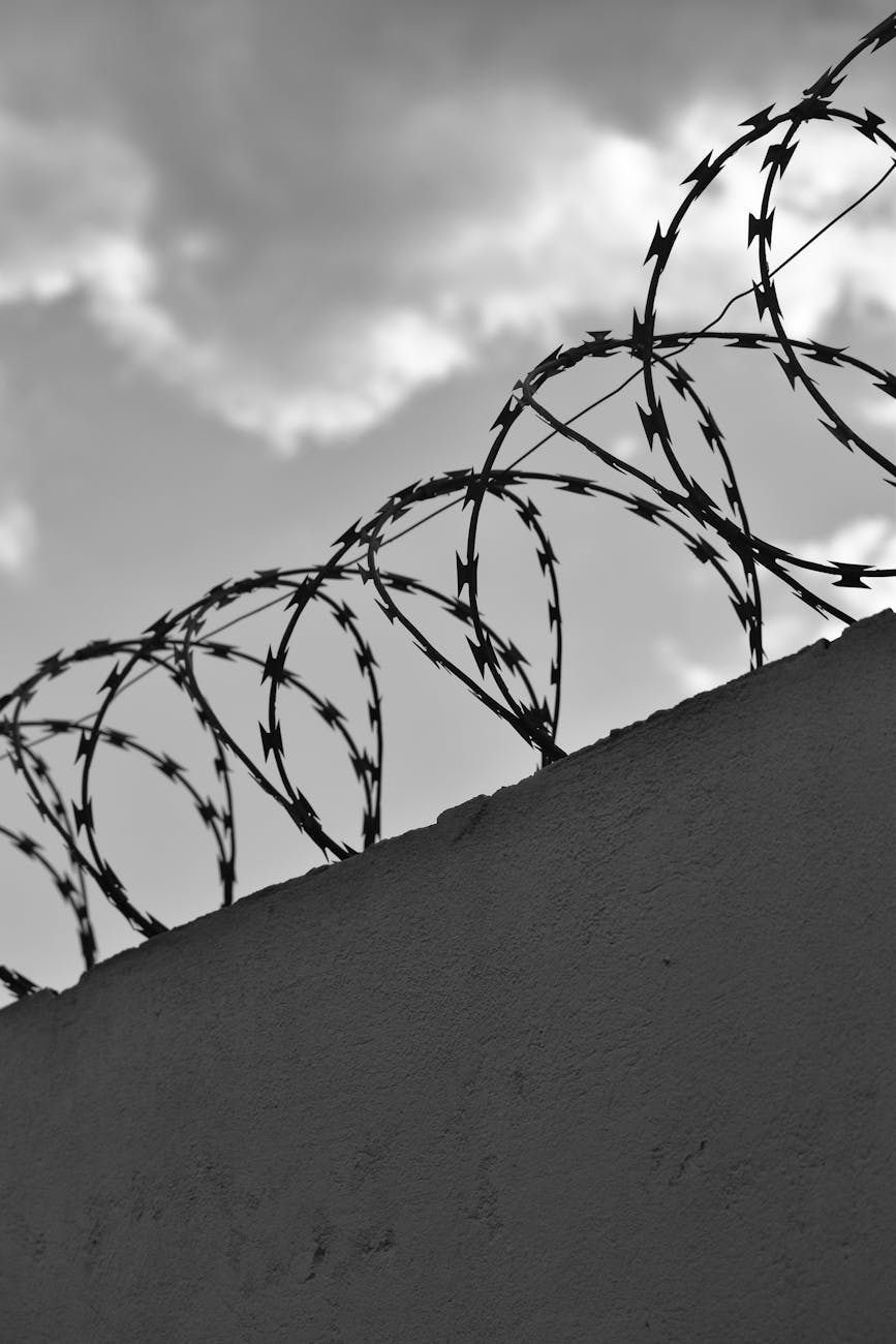 Trump Takes Aim at Chicago’s Leaders Over Immigration Tensions