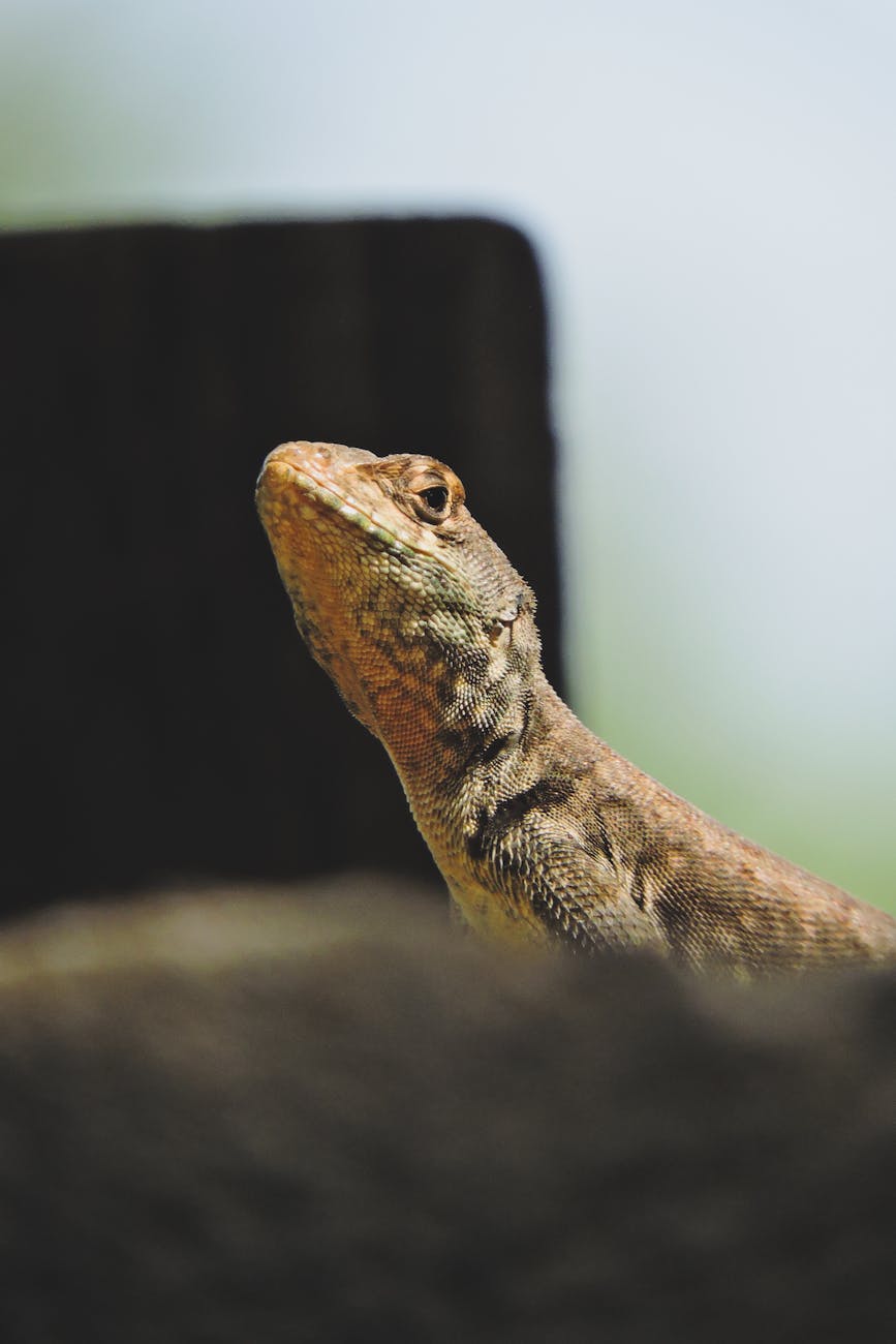 Tropical Storm Jerry and a Fresh Fall Front on the Horizon