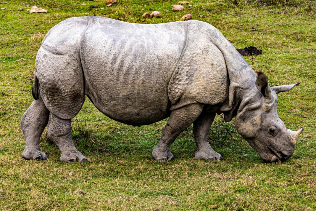 California's Universities Face Funding Showdown with Trump