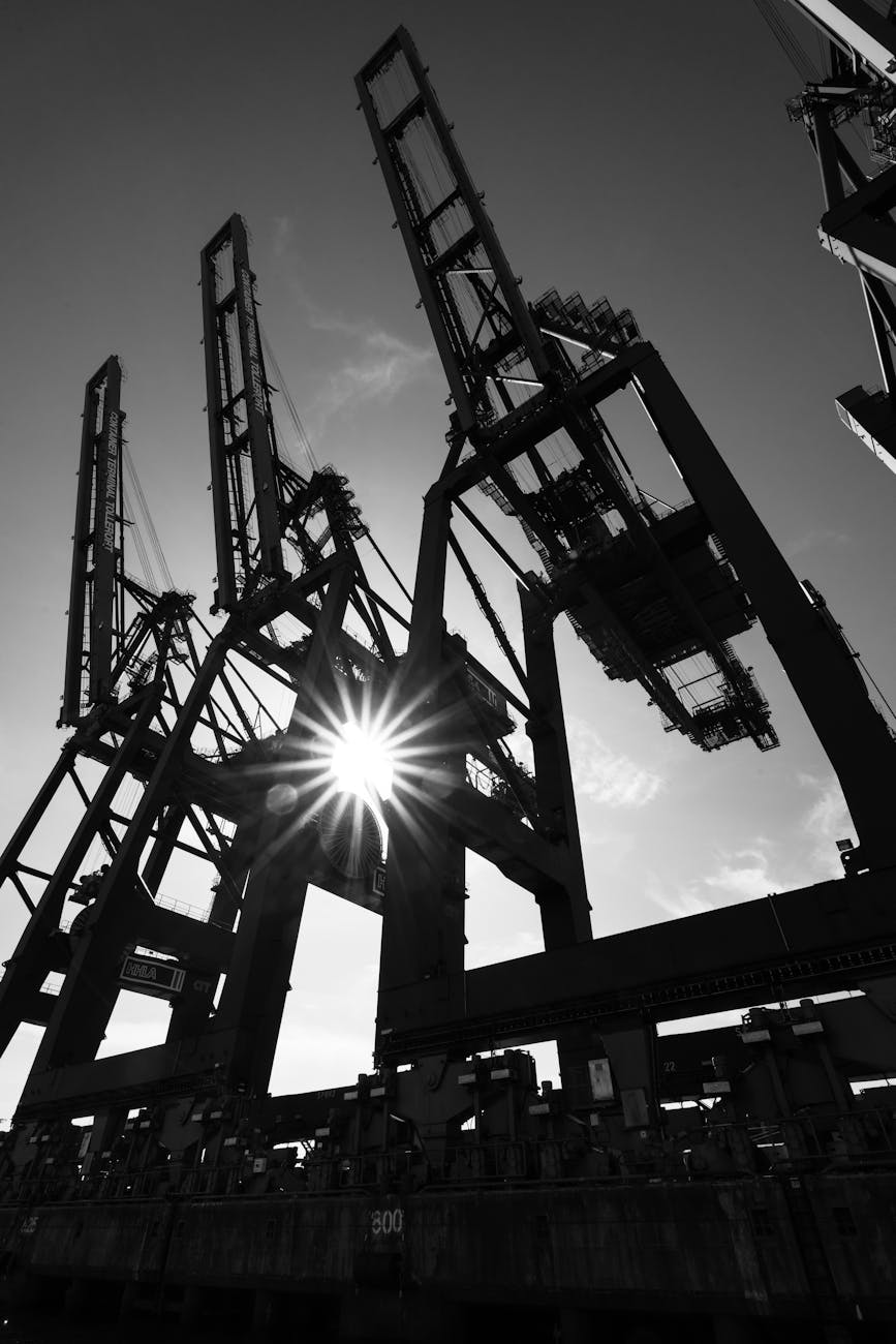 Chaos Erupts in Chicago: Immigration Raid Shakes Local Residents