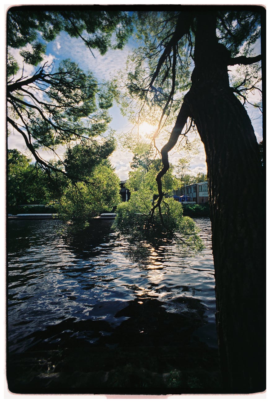 Georgia Voters Confront the Fallout of the Government Shutdown