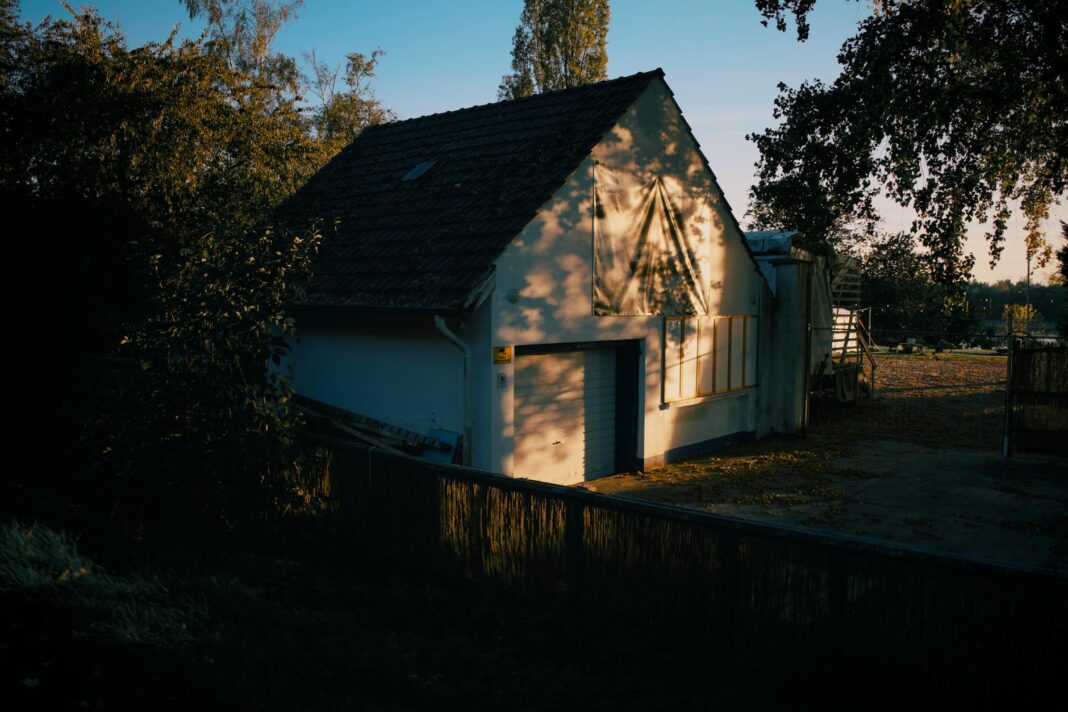 Trump's Threat: Mass Layoffs Loom if Shutdown Talks Stall