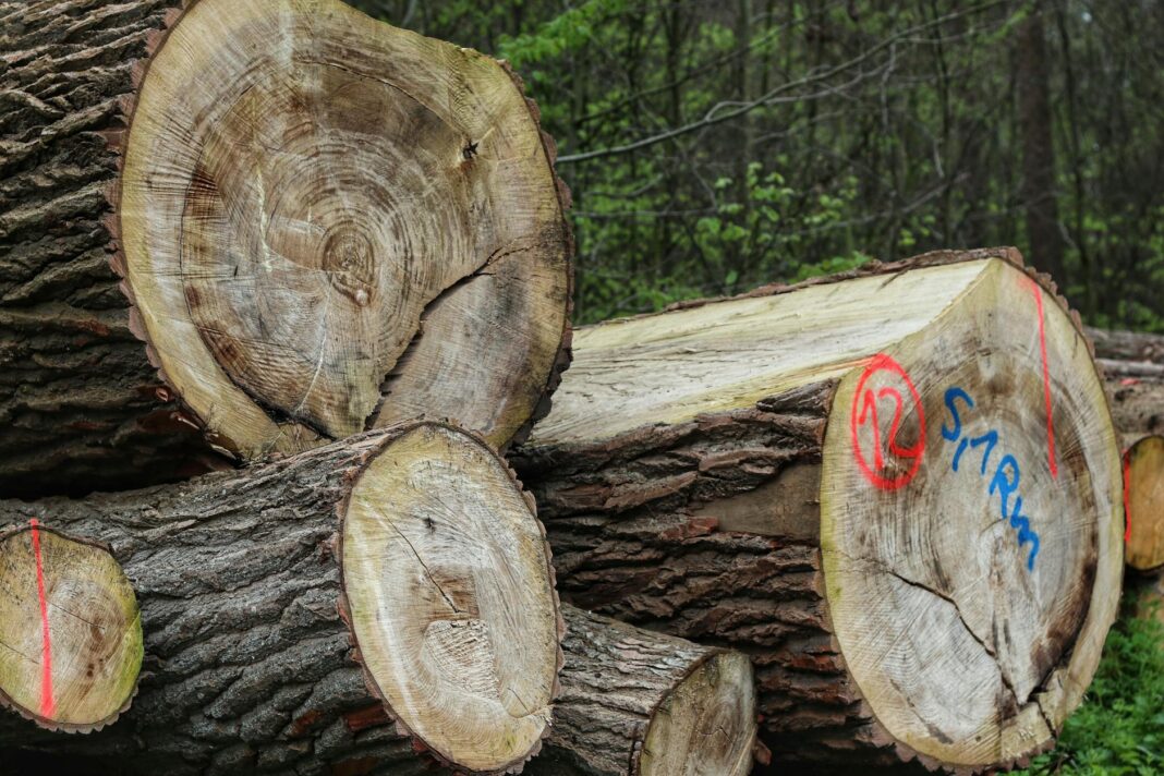 Violence Erupts in Montgomery: Two Dead, Twelve Injured in Shootout