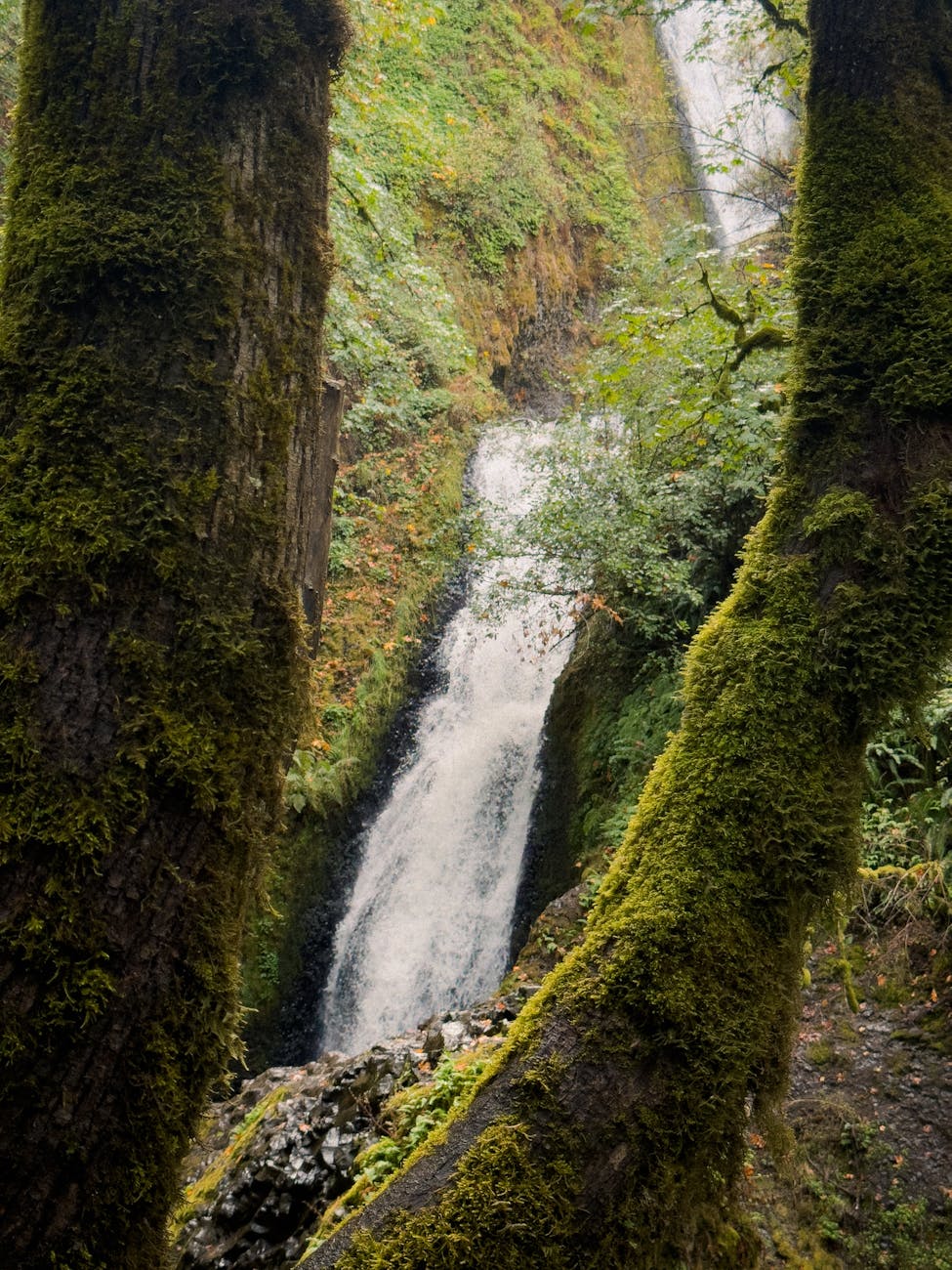 Oregon Moves to Block California Troops from Portland