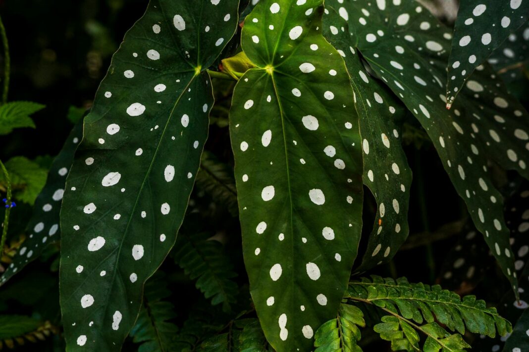 Air Traffic Controller Job Security in Jeopardy Amid Threats