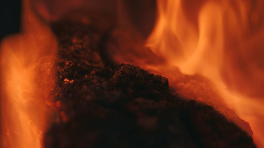 Understanding the Smoldering Blunder Behind the Palisades Fire