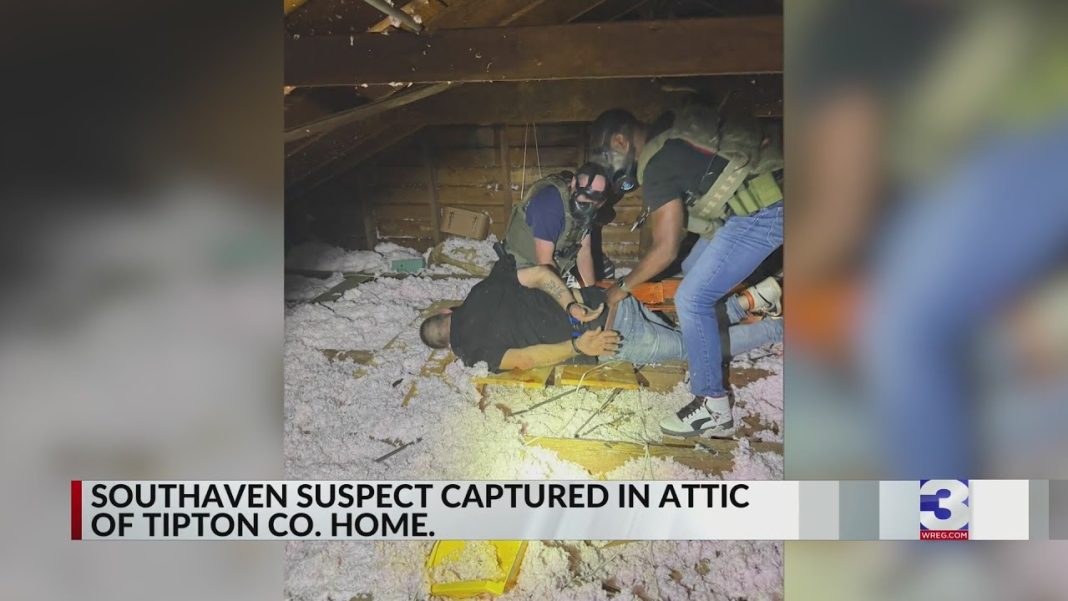 Fugitive found hiding in attic after K-9 gets hurt. (Video)