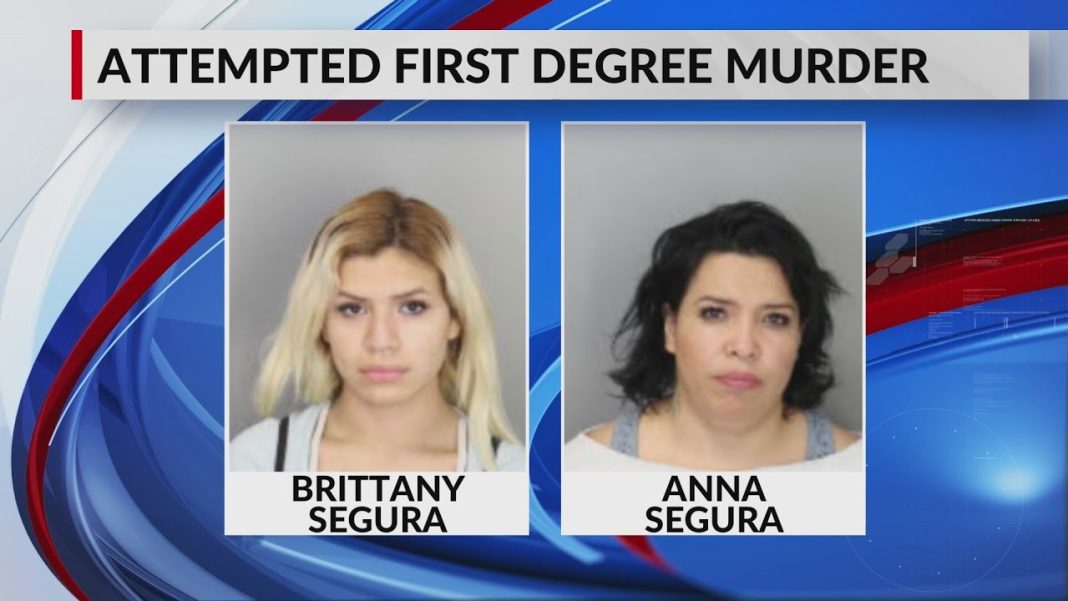 Woman charged after stabbing mother’s boyfriend 16 times (Video)