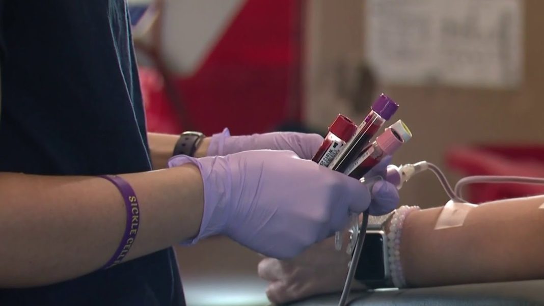 Catch the latest updates on local news! (Video): Local 4 News at 11 — Nov. 23, 2025