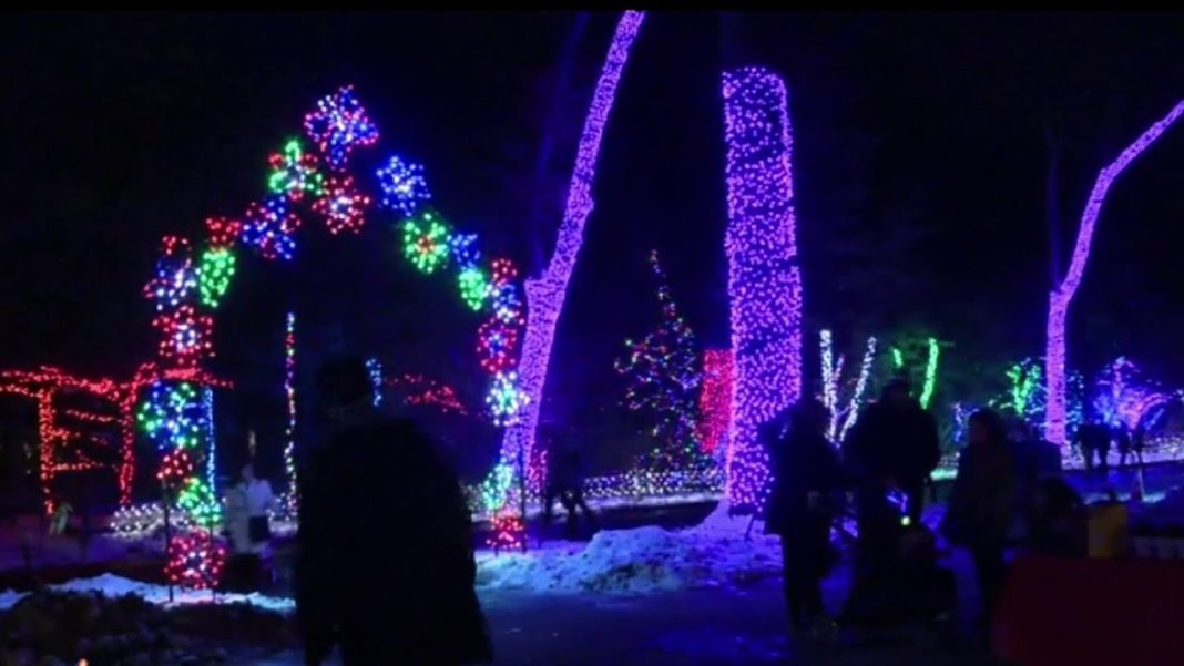 Detroit Zoo shines bright this holiday season with ‘Wild Lights’! (Video)