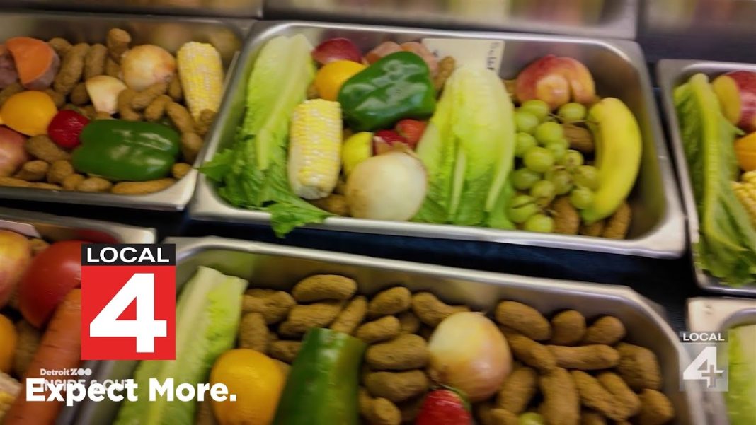 Ever wonder how we feed all the animals at the Detroit Zoo? (Video): Detroit Zoo: Inside & Out