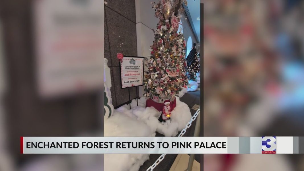 Enchanted Forest is back at the Pink Palace! Don’t miss the magic! (Video)