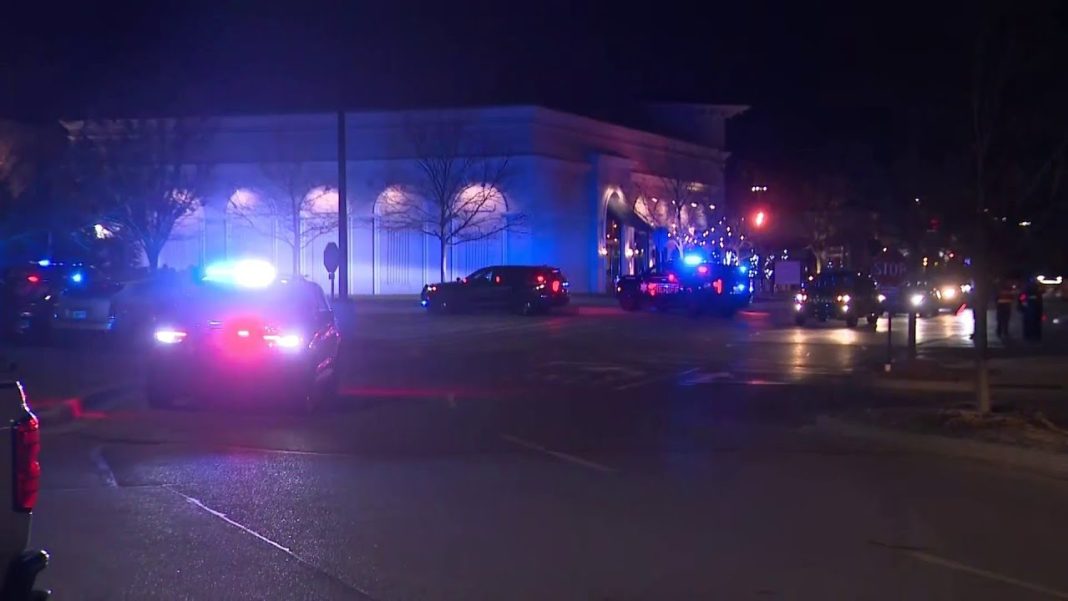 Shooting near Partridge Creek theater injures at least 1. (Video)