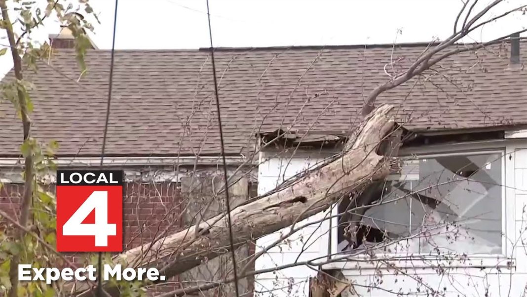 Detroit homeowner fights back as neighbor’s dead tree leaves damage—twice! (Video)