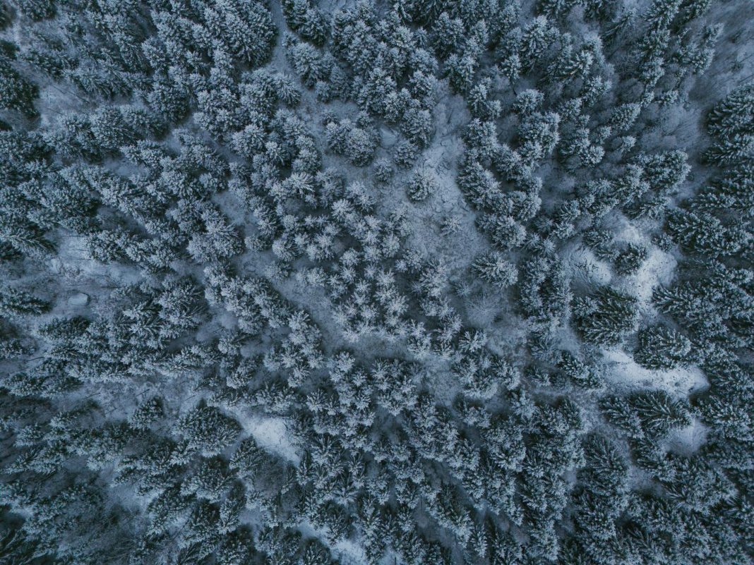 Editorial photo related to article topic