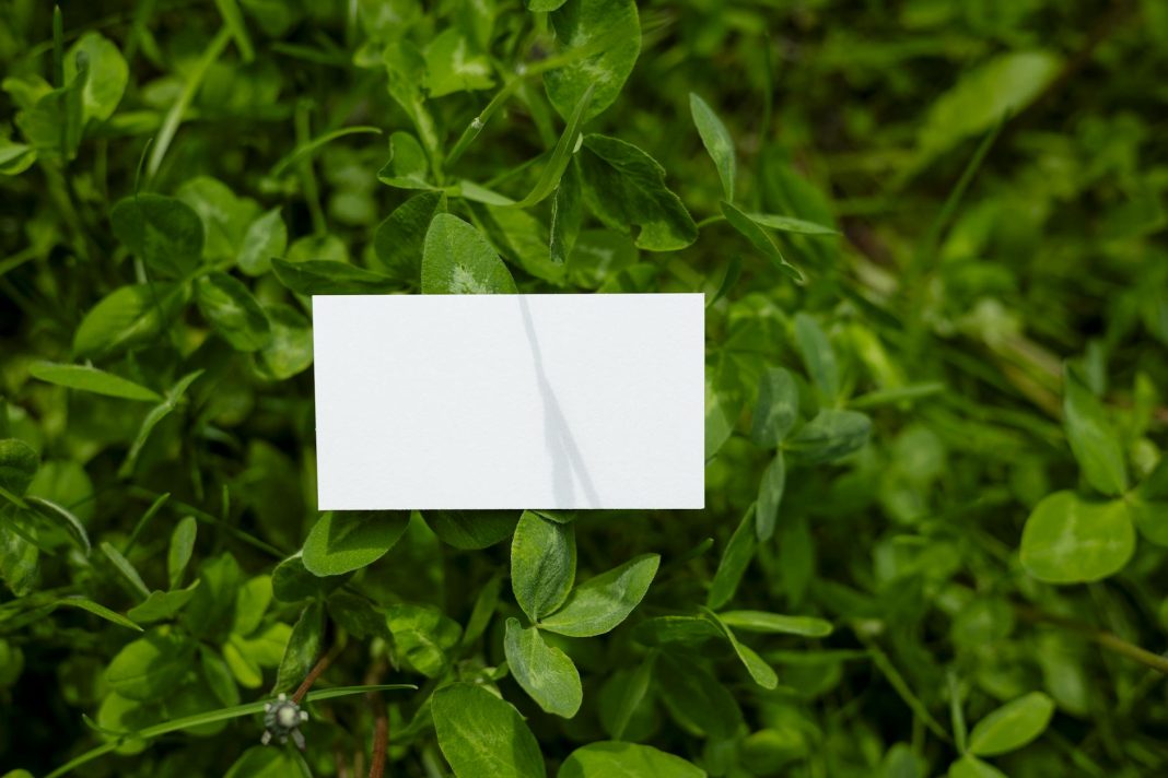 Trump administration will re-examine Green Card holders from 19