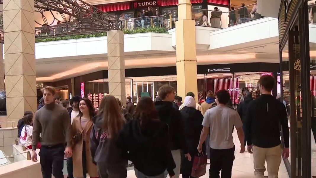 Busy Black Friday in Metro Detroit as shoppers rush before the storm hits! (Video)