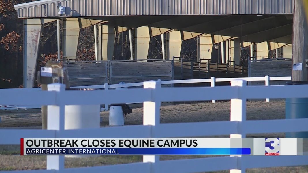 Virus outbreak forces temporary shutdown of Agricenter’s equine campus (Video)