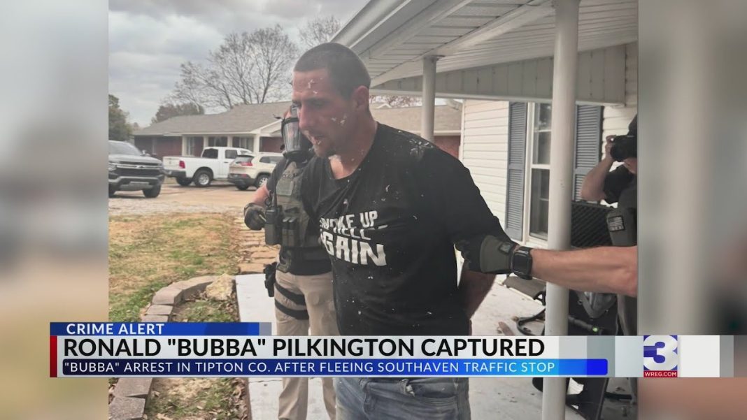Man in custody after K-9 injured during wild traffic stop chase (Video)