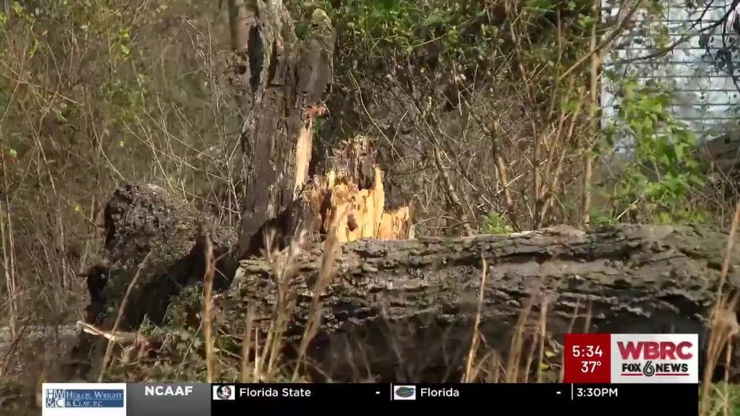 Inglenook’s new journey begins—school relocation in action! (Video)