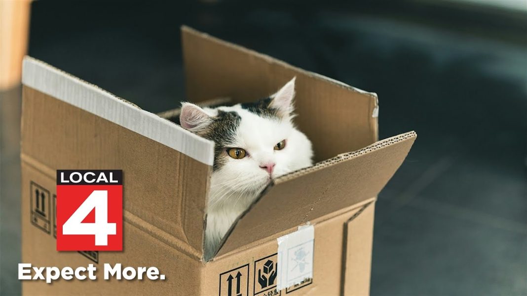 Stay safe & save cash with online holiday shopping tips! (Video)