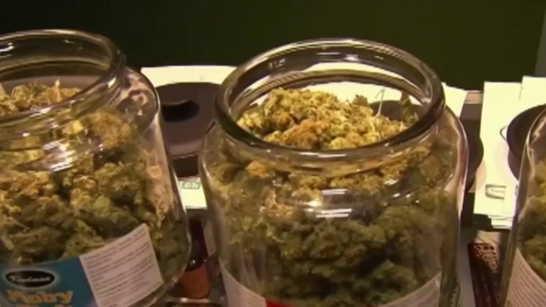 What is ‘scromiting’? Discover the rise of this unusual marijuana condition! (Video)