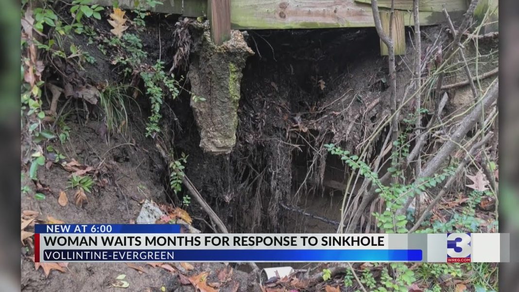 City to blame for massive sinkhole in yard, says woman (Video)