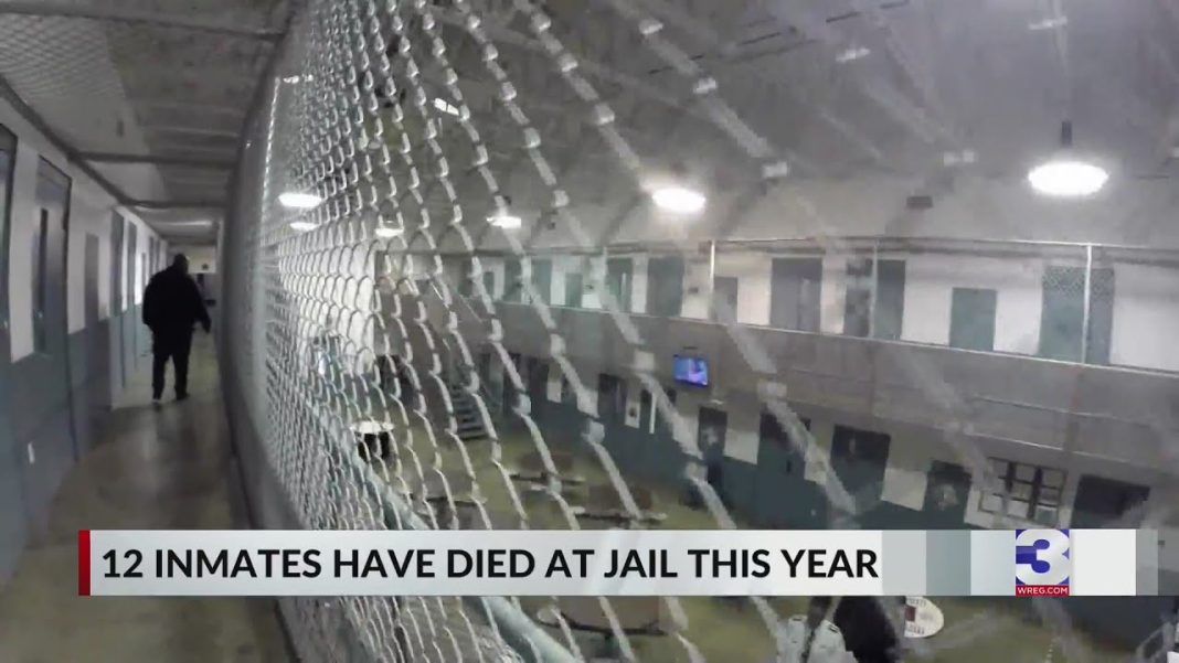 Sheriff’s Office reports 12 in-custody deaths this year. (Video)