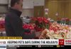 Keeping pets safe this holiday season! (Video)